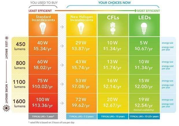 How to Choose the Best Light Bulb for Your Home