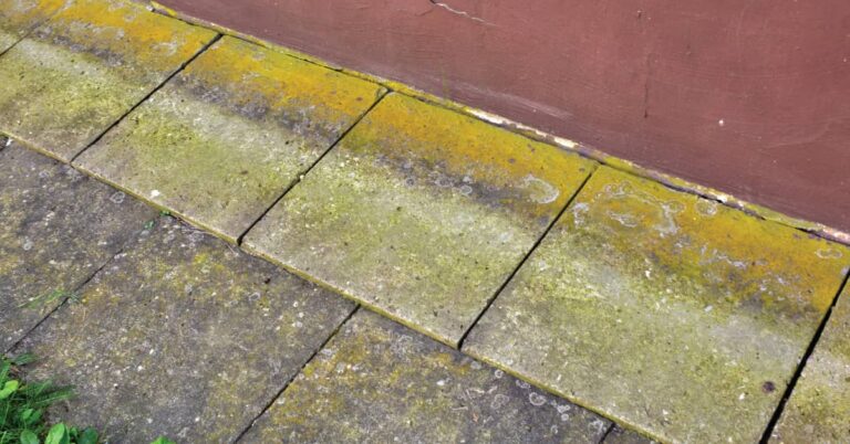 How to Find a Water Leak in Your Yard: Detection Tips