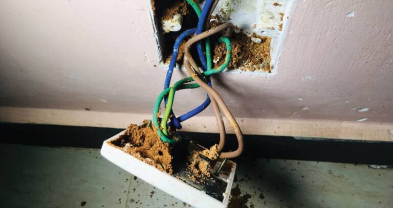 How to Get Rid of Ants in Electrical Outlets Safely