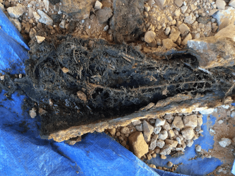 Who Is Responsible for Sewer Line Repair in Arizona: City or Homeowner?