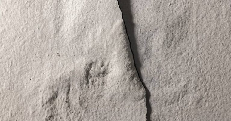 Complete Guide to Slab Leak Detection, Repair and Water Damage in Gilbert, AZ