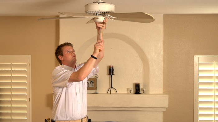 Ceiling fan motor and blade assembly