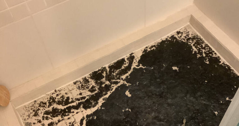 Why Does My House Smell Like a Sewer? Common Causes and When to Call a Drain Specialist