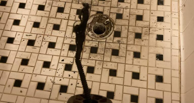 How to Unclog a Shower Drain (Even With Standing Water)