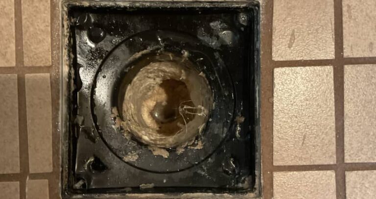 Drain Cleaning in Peoria: The Complete Homeowner’s Guide to Stopping Clogs