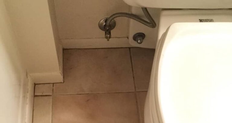 Sewage Smell from the Toilet: The Tree Root Warning Phoenix Homeowners Miss