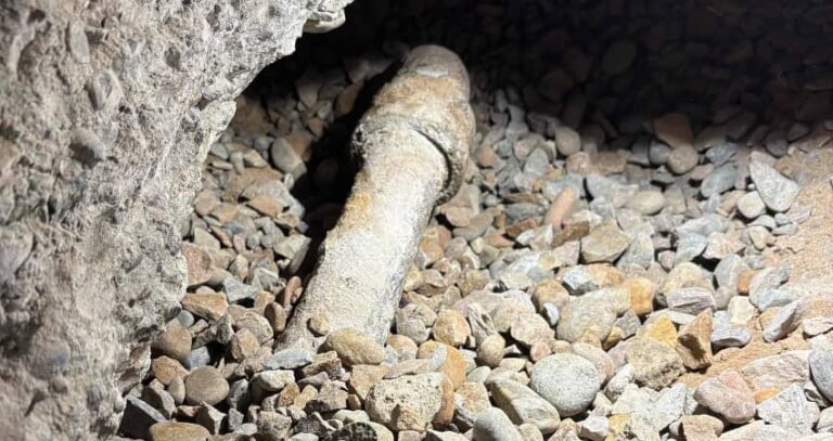 Who Pays When Your Sewer Line Breaks in Gilbert? (It’s Not Always You)