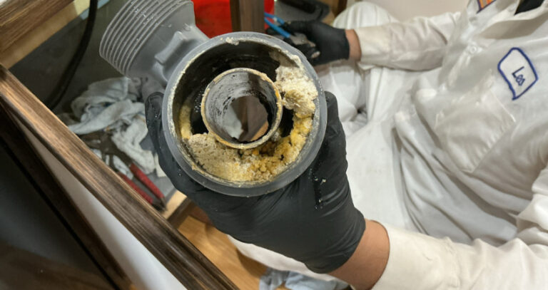What_to_do_Sewer_Line_Backs What to Do When Your East Mesa Sewer Line Backs Up