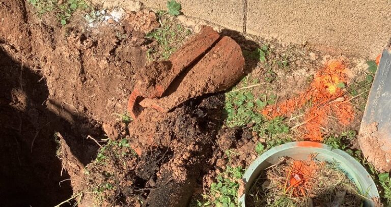 tree_roots_sewer_line Tree Roots and Sewer Lines: Why North Central Phoenix Is a Hot Spot